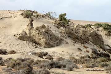 Un paseo con ensoñación en el inicio del verano por la costa de Telde (Reportaje gráfico Jesús Ruiz Mesa)